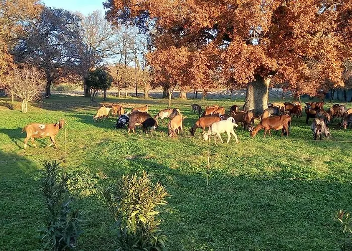 La Truffiere