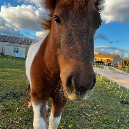 Hébergement de vacances La Truffière Gras